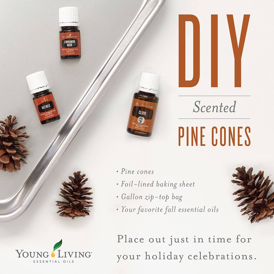 scentedpinecones