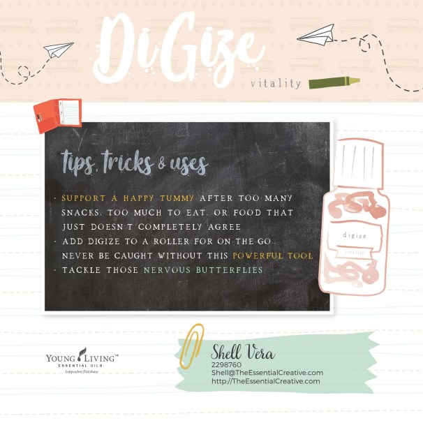 11.-Back-to-School-DiGize_1