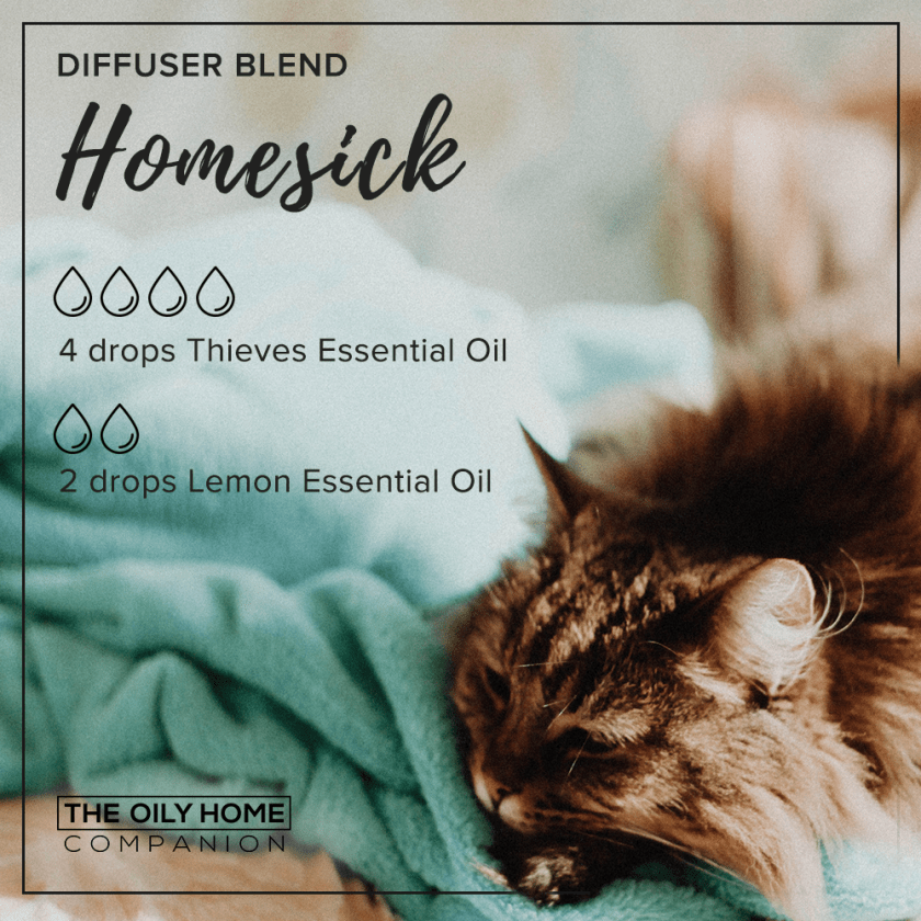 OHC_College_Homesick