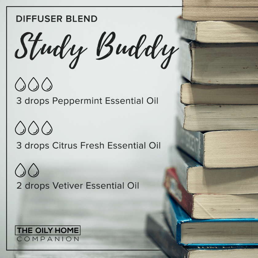 OHC_College_Study_Buddy