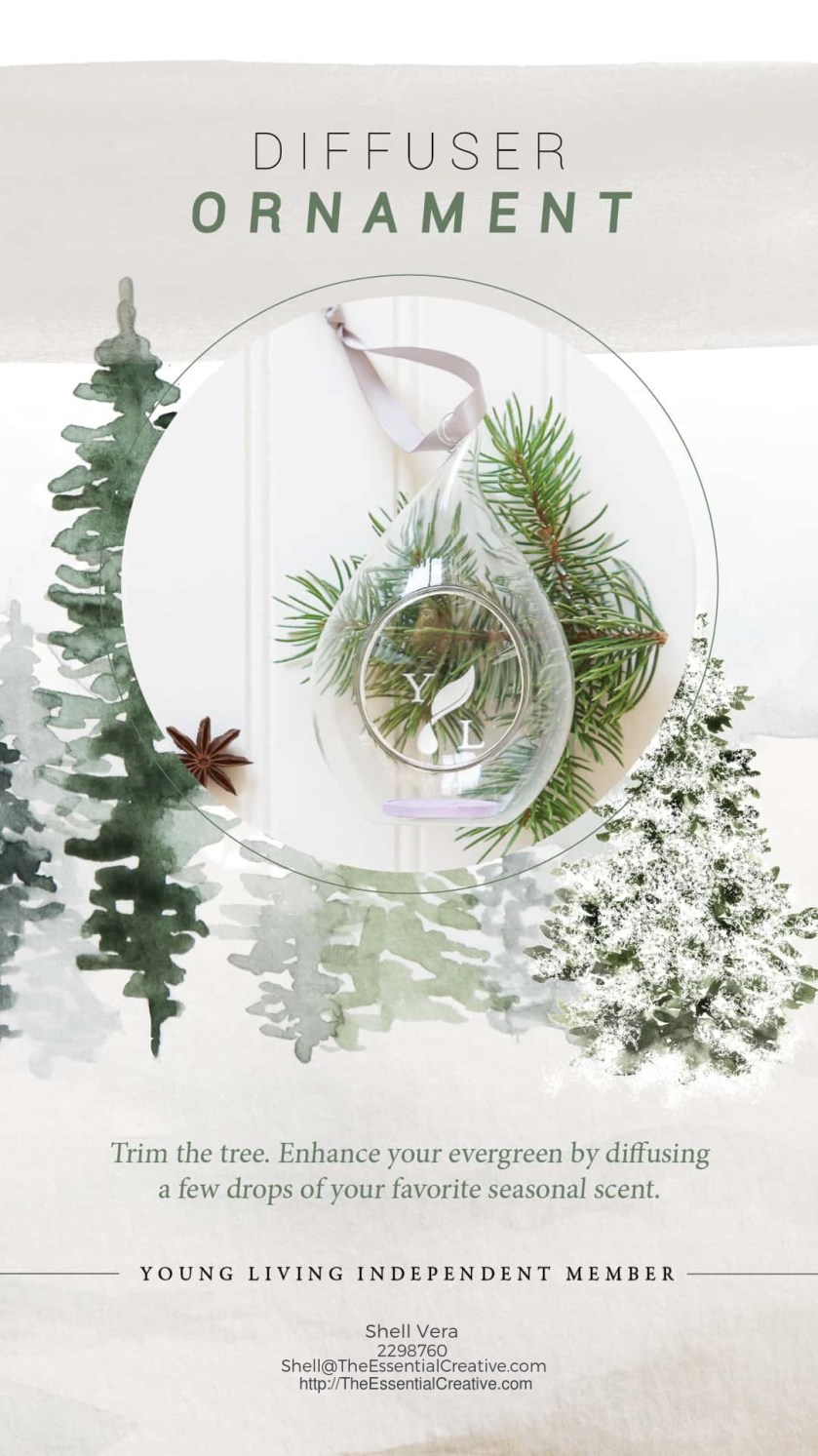 7-Diffuser-Ornament-Insta