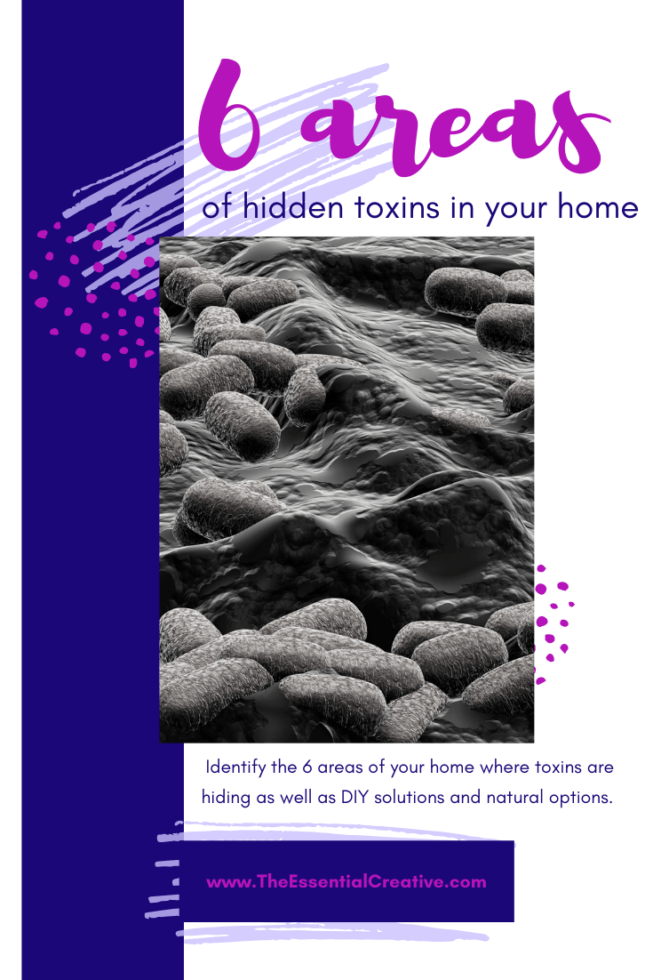 ShellVera_ToxinFreeFamily2020