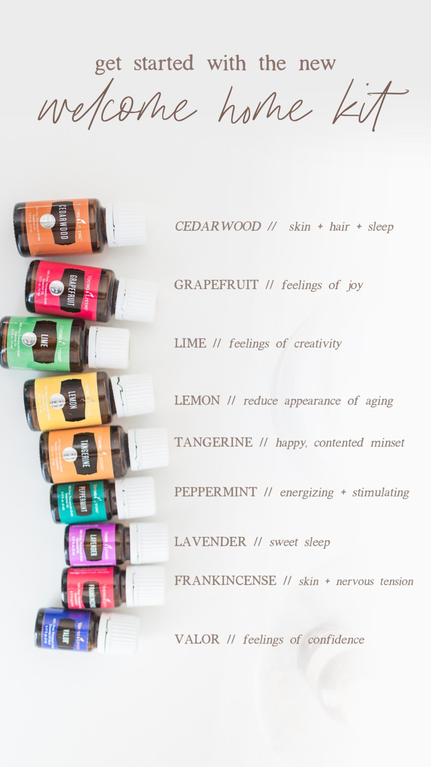 WSE_WelcomeHomeKit-05