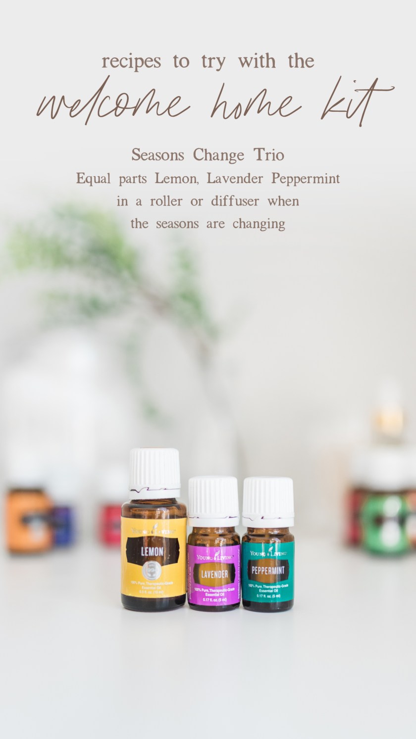 WSE_WelcomeHomeKit-06