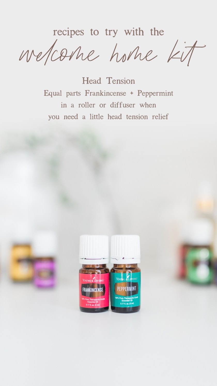 WSE_WelcomeHomeKit-09