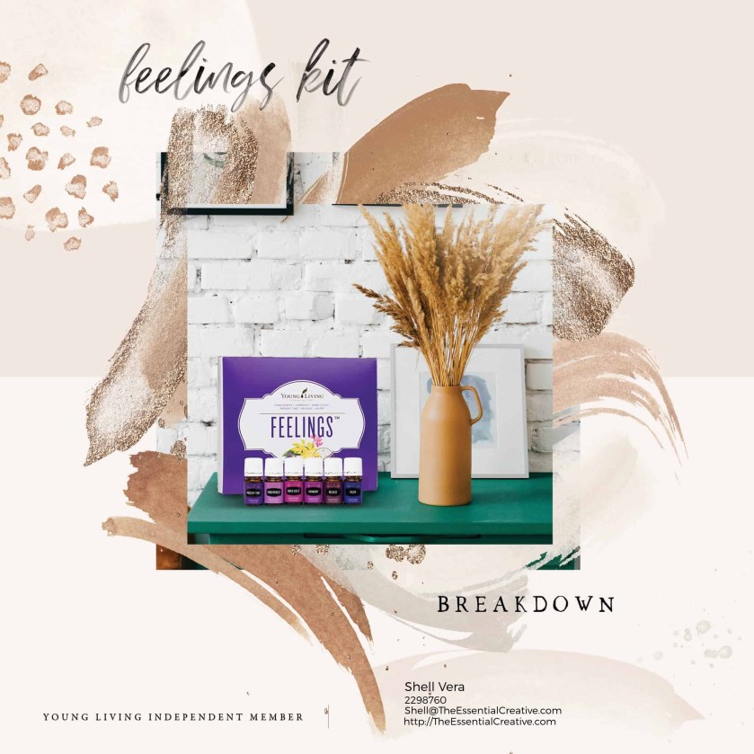 16.-Difficulties-_-Emotions-Feelings-Kit-Breakdown