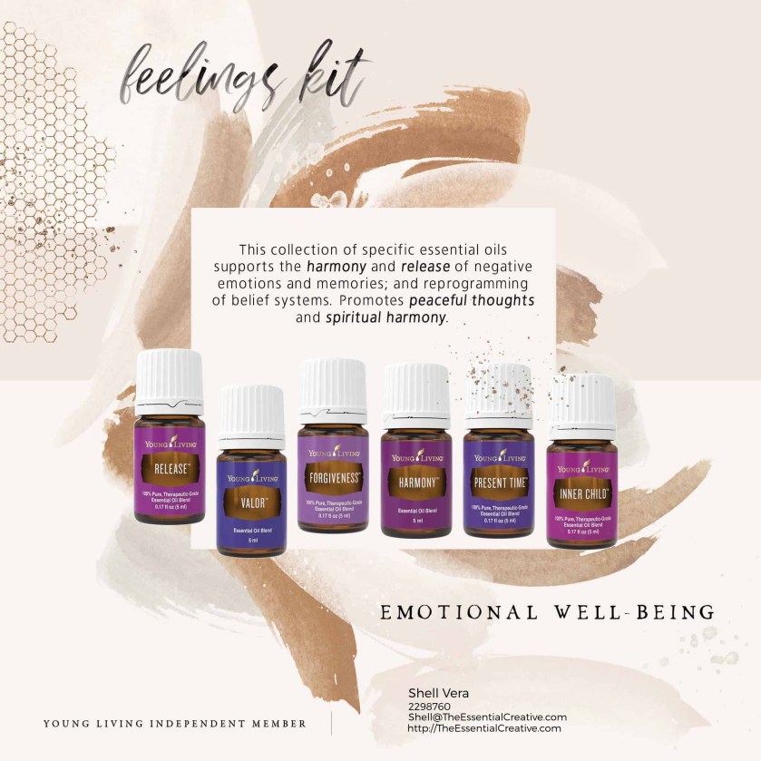 17.-Difficulties-_-Emotions-Feelings-Kit-Breakdown