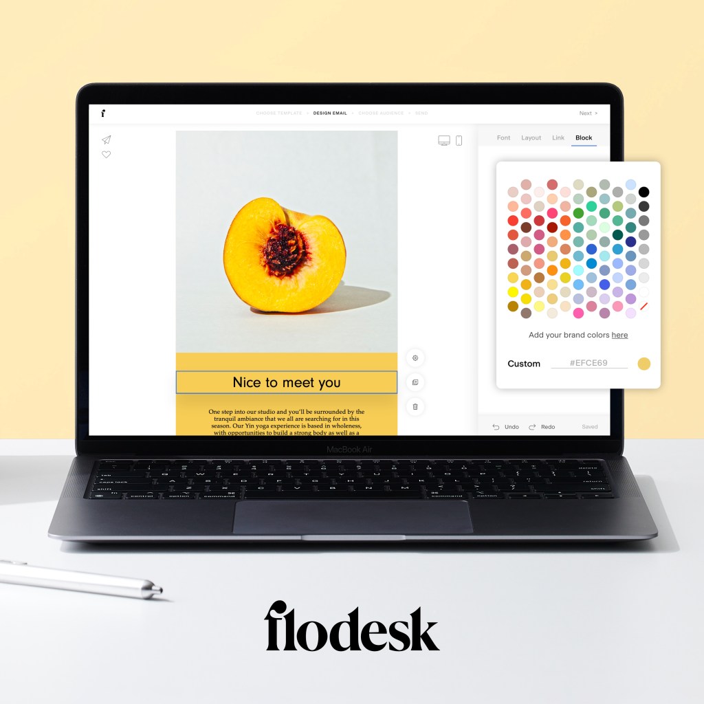 Flodesk is an email software and CRM I use to communicate with subscribers and share valuable information. I love how easy it is. This is a picture of their user interface. https://flodesk.com/c/SHELLVERA
