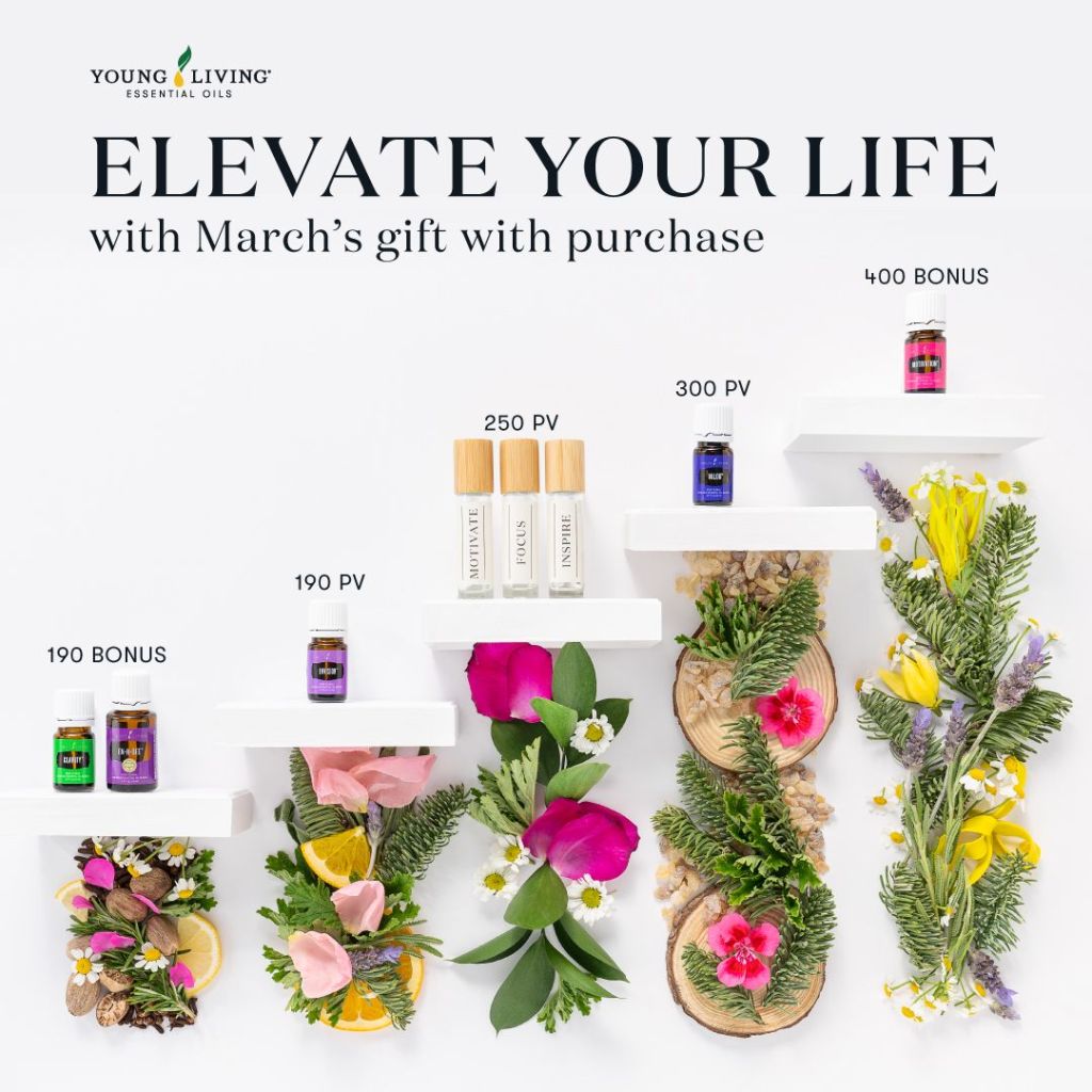 Gifts with purchase displayed visually.